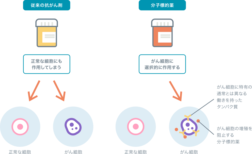 分子標的役の働きと従来の抗がん剤