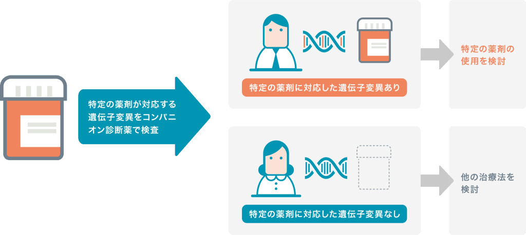 コンパニオン診断薬の流れ