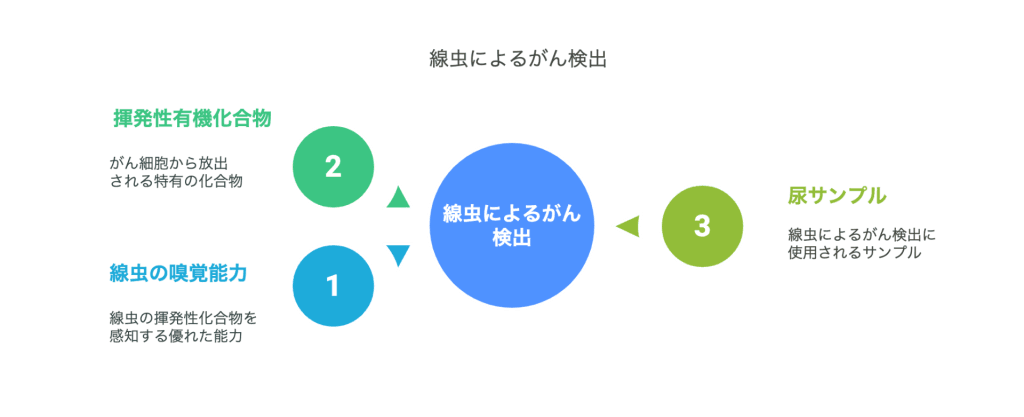 N -NOZEメカニズム